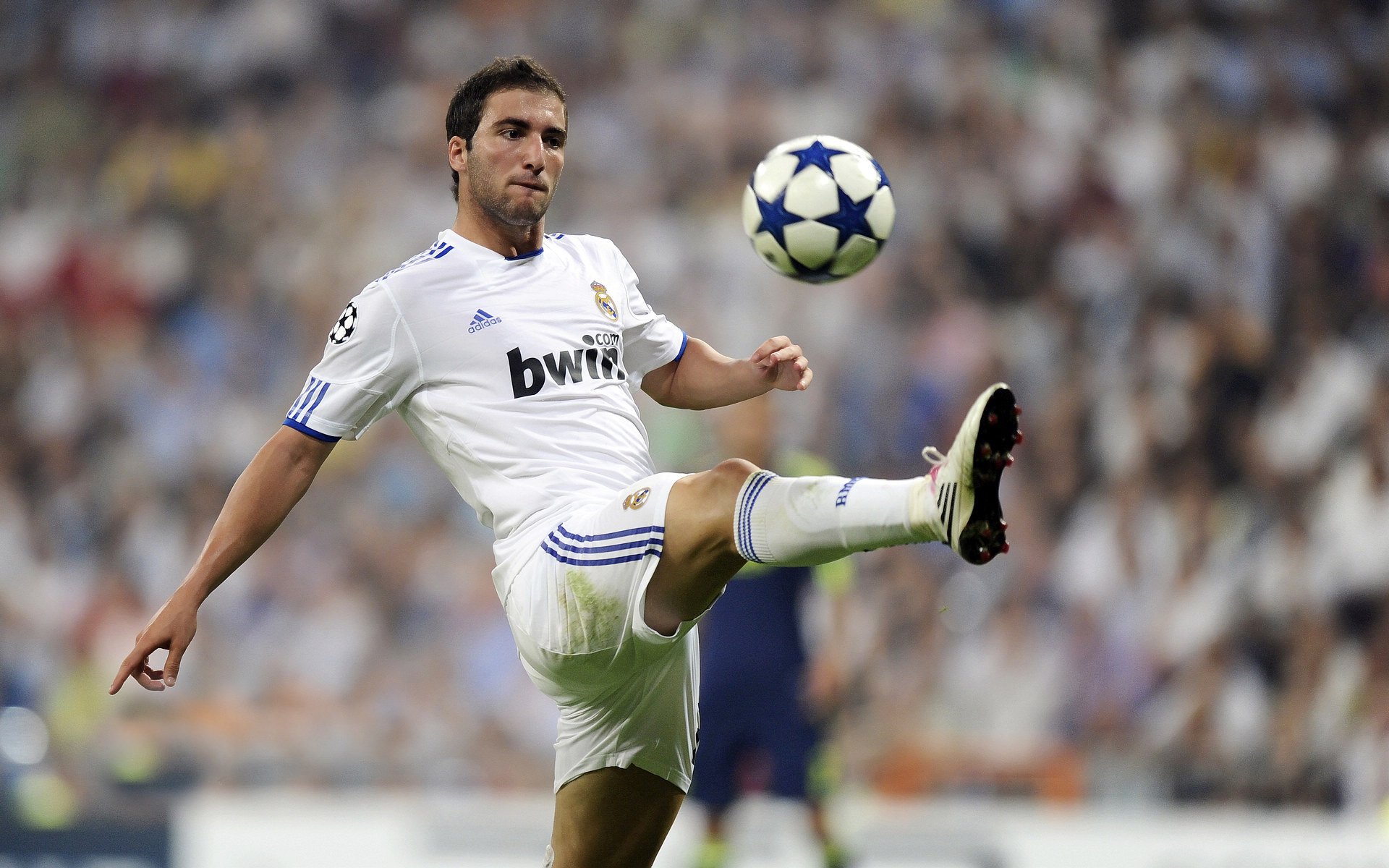 科维托娃新星绝杀表现惊艳，雄鹿未来可期！-九游娱乐登录入口